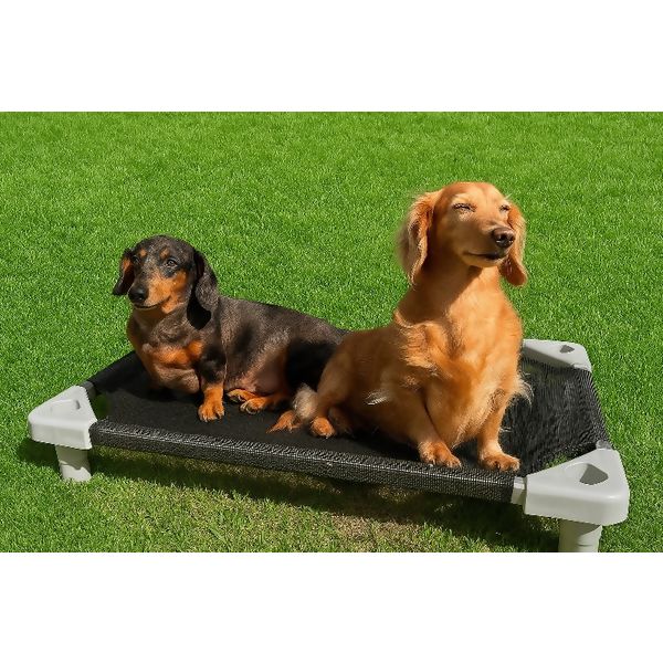 caminha empilhavel fundo grama com cachorro